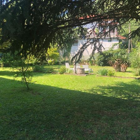 Vila Labod, Unique Villa At The Lake Most na Soči Εξωτερικό φωτογραφία